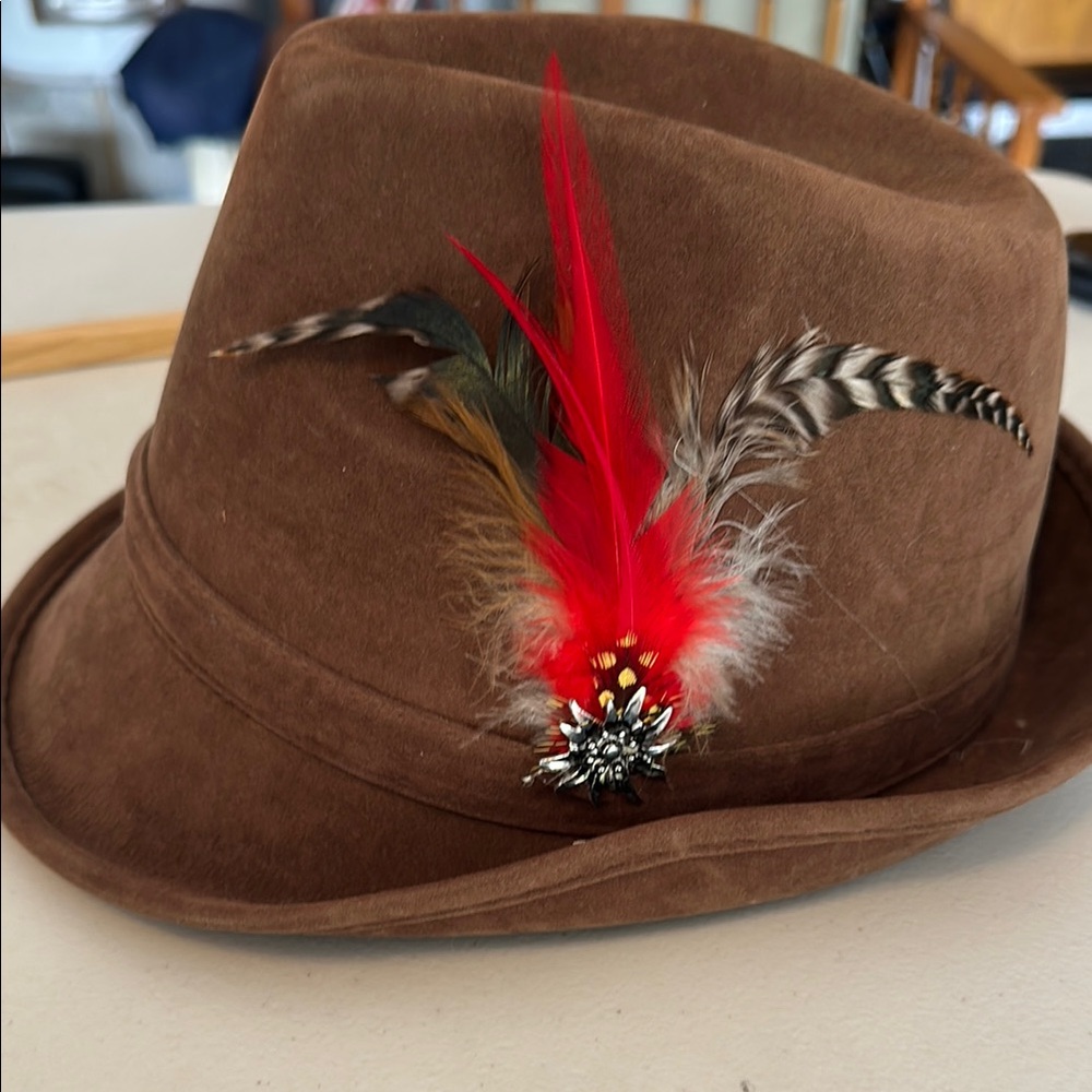 Brown Fedora with Feather Accent